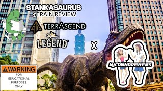 “Stankasaurus” by @terrascendcorp.2010 #strainreviews THIS VIDEO IS FOR EDUCATIONAL PURPOSES ONLY! 