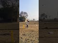 sixers shot video 🏏🥰#trinding #shorts #viral #cricketlover #cricketnews #cricketfans
