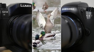Samsung NX1 1080P 120FPS VS GH4 96FPS - Slow motion Comparison & Review