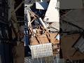Tornado Damage in Klein, TX (11-24-2025) #shorts #tornado #weather