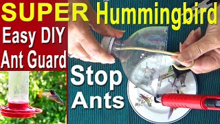 Hummingbirds * NO MORE ANTS, Hummingbird Feeder Ant Moat * DIY How to Make Ant Guard & Nectar Recipe
