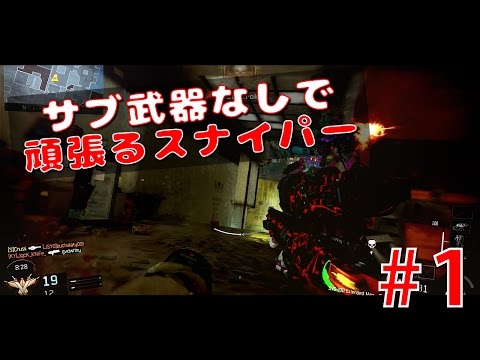 【BO3】サブ武器なしで頑張るスナイパー#1