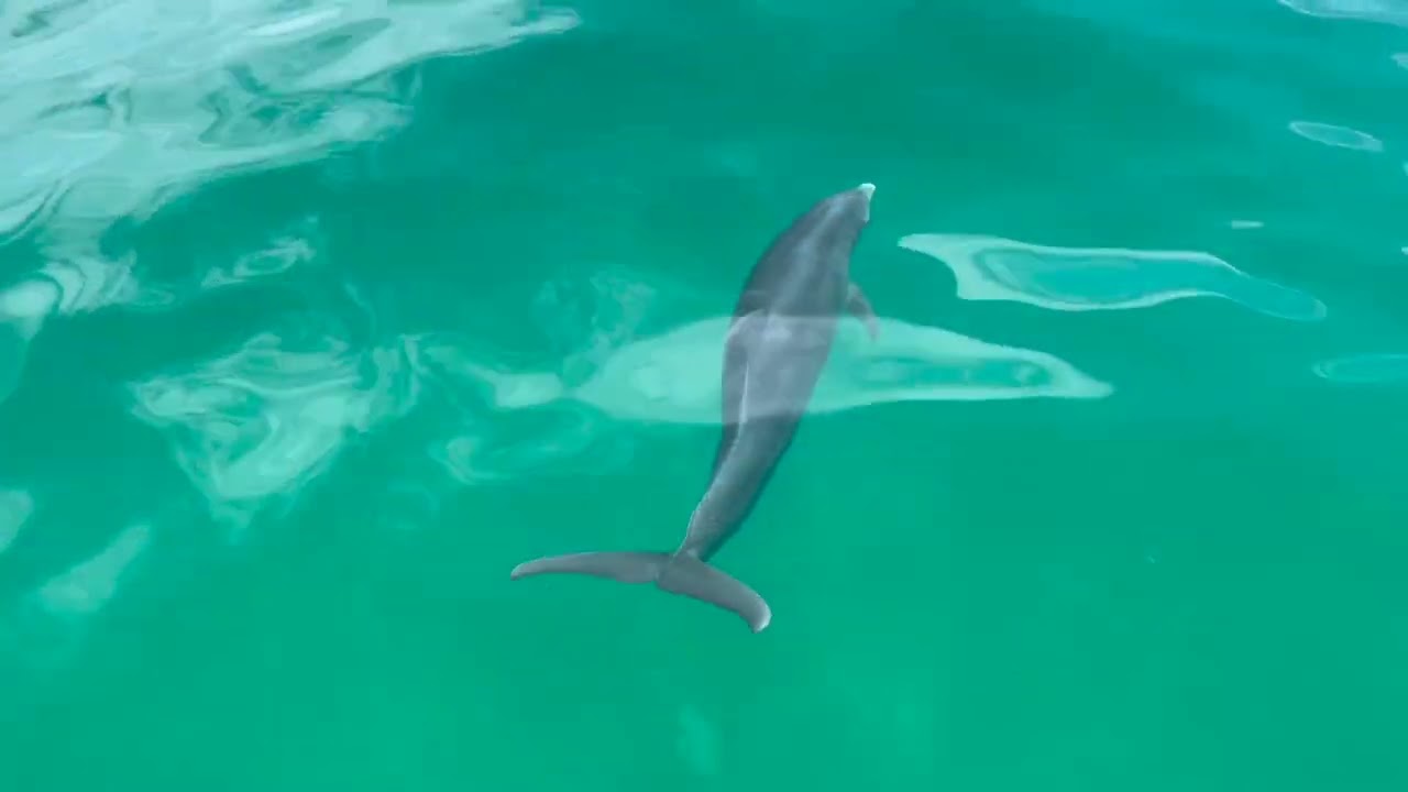 Fort Myers Beach to Marathon April 2022 - Cruising the Gulf of Mexico