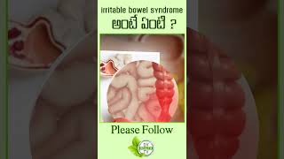 Irritable Bowel Syndrome అంటే ఏంటి..  Irritable Bowel Syndrome  Symptoms | GV Health TV