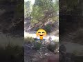 بسكرة بسكرة