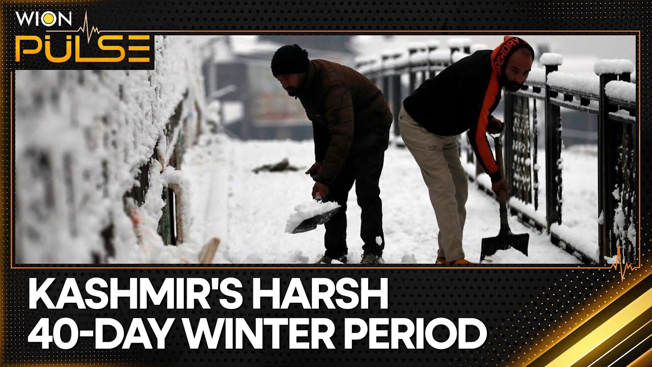 India: Kashmir receives its first batch of snowfall after a long dry spell | World News | WION Pulse