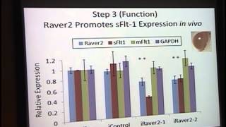 Identification of Raver 2 as a Novel Regulator of sFit1 [ARCHIVE]