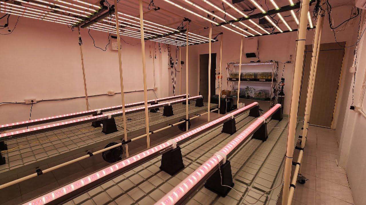 BEDROOM INTO 6 LIGHT GROW ROOM!!! PART 7