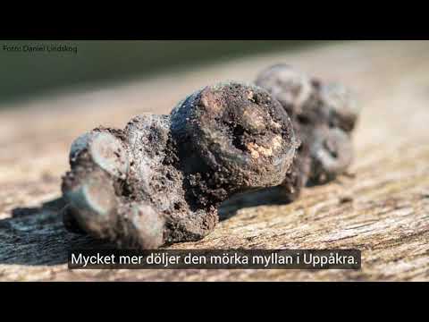 Video: Arkeologiska museets beskrivning och foton - Montenegro: Budva