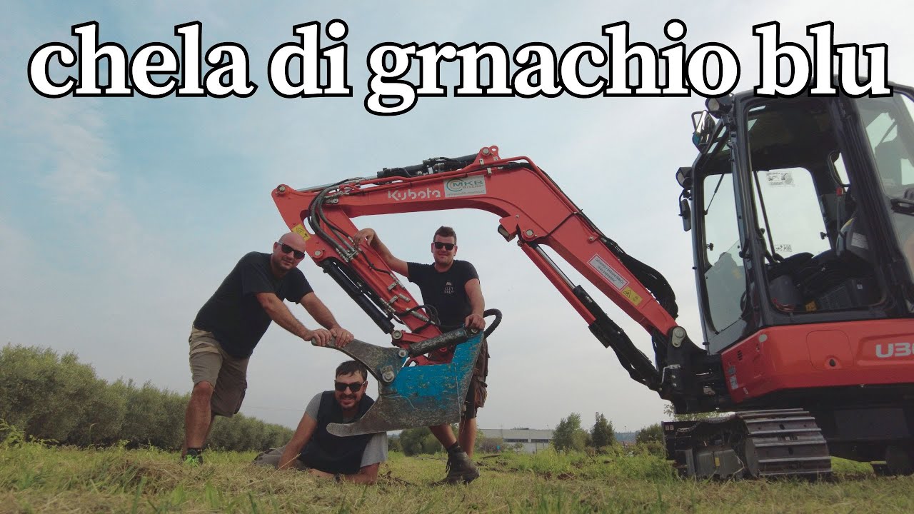 Estirpare un vigneto con la pinza