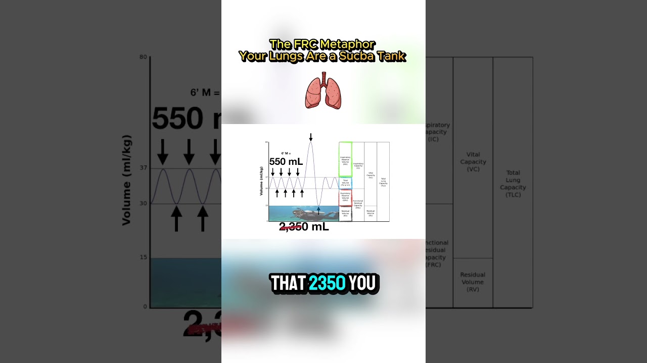 The FRC Metaphor: Your Lungs Are a Sucba Tank
