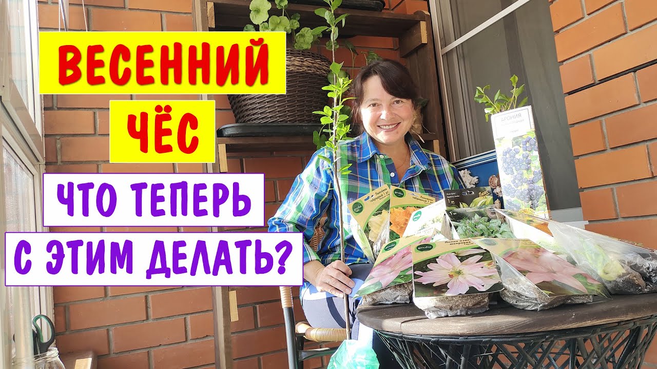 ПОКУПАЛА - радовалась. САЖАЮ - плачу. Как все это теперь хранить?