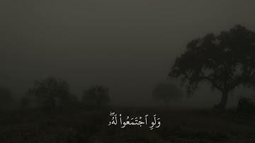 القارئ : ماهر المعيقلي | سورة الحج