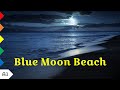 Blue Moon Beach by Sue Murray - A1 - English Listening