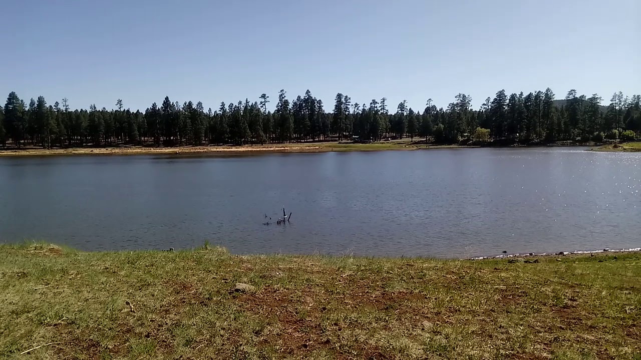 Video of WHITE HORSE LAKE Campground, AZ from Daniel L. YouTube