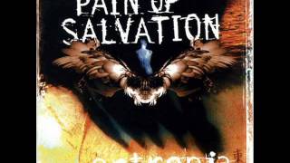 Watch Pain Of Salvation Never Learn To Fly video