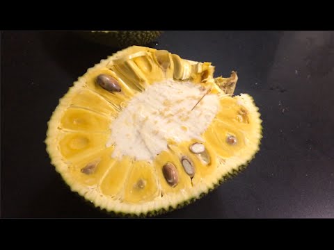 How to Open a Jackfruit