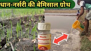 धान में उत्पादन का फ़ॉर्मूला | Waste Decomposer for Paddy/Rice | Use | Hindi | @AGRILCAREER