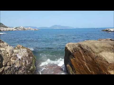 Video Nhạc Quê Hương Hay Nhất [ Phú Yên / Hoa Vàng Trên Cỏ... - youtube