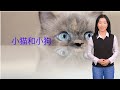 小猫和小狗