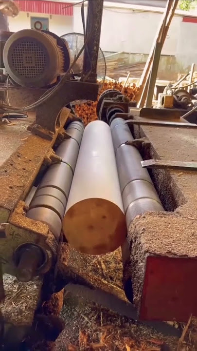 Download lagu Proses Pembuatan Triplek #mesinkayu #triplek