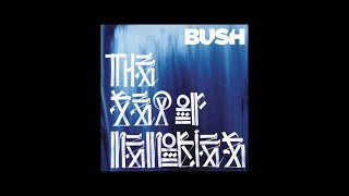 Bush - Baby Come Home