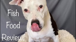 Pitbull Dog Reviewing 5 Raw Fish | Dog Fish Food ASMR | Pitbull Dog Best Food Review | Best Dog Diet