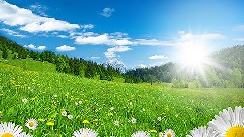 50 Mẫu Tranh 3D Phong Cảnh Hoa Tuyệt Đẹp p5 - Giá Tốt Nhất Sài Gòn