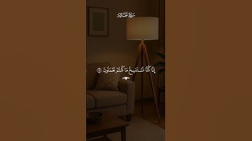 سورة الجاثية بصوت القارئ ماهر المعيقلي 💙