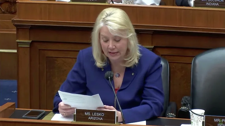 Lesko Raises Concerns on Big Tech Infringing on Am...