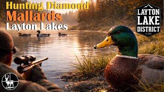 Diamond Mallards Made Easy | Layton Lakes Guide |  theHunter Call of the Wild