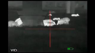 thermal hog hunting with innovative arms ldsp suppressors