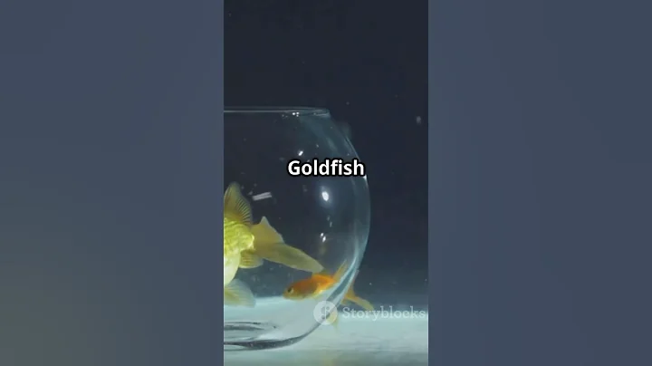 Goldfish Have a 3-Second Memory? 🐠❌ #shorts #facts