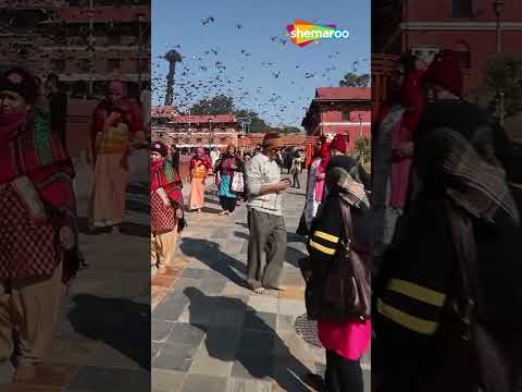 Watch on YouTube