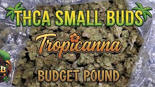 THCA Small Buds - Tropicanna Budget Pound