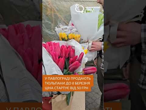 У Павлограді продають тюльпани до 8 березня: яка ціна #павлоград