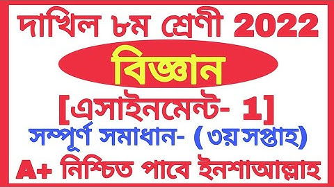 Class 8 Dakhil Science Assignment 1 Answer 2022 || দাখিল ৮ম শ্রেণির বিজ্ঞান এসাইনমেন্ট 1 উত্তর