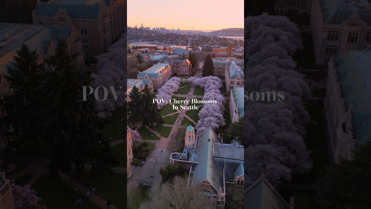 POV it’s SPRING time in SEATTLE 