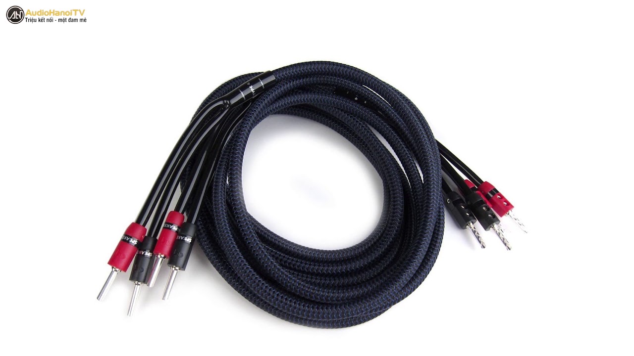 Tìm hiểu các sản phẩm dây loa cuộn của AudioQuest | AudioHanoiTV 264