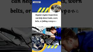 Audi Q3 Owners! This Simple Maintenance Can Save Your Engine