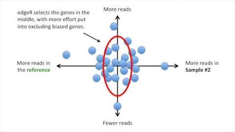 StatQuest: edgeR, part 1, Library Normalization