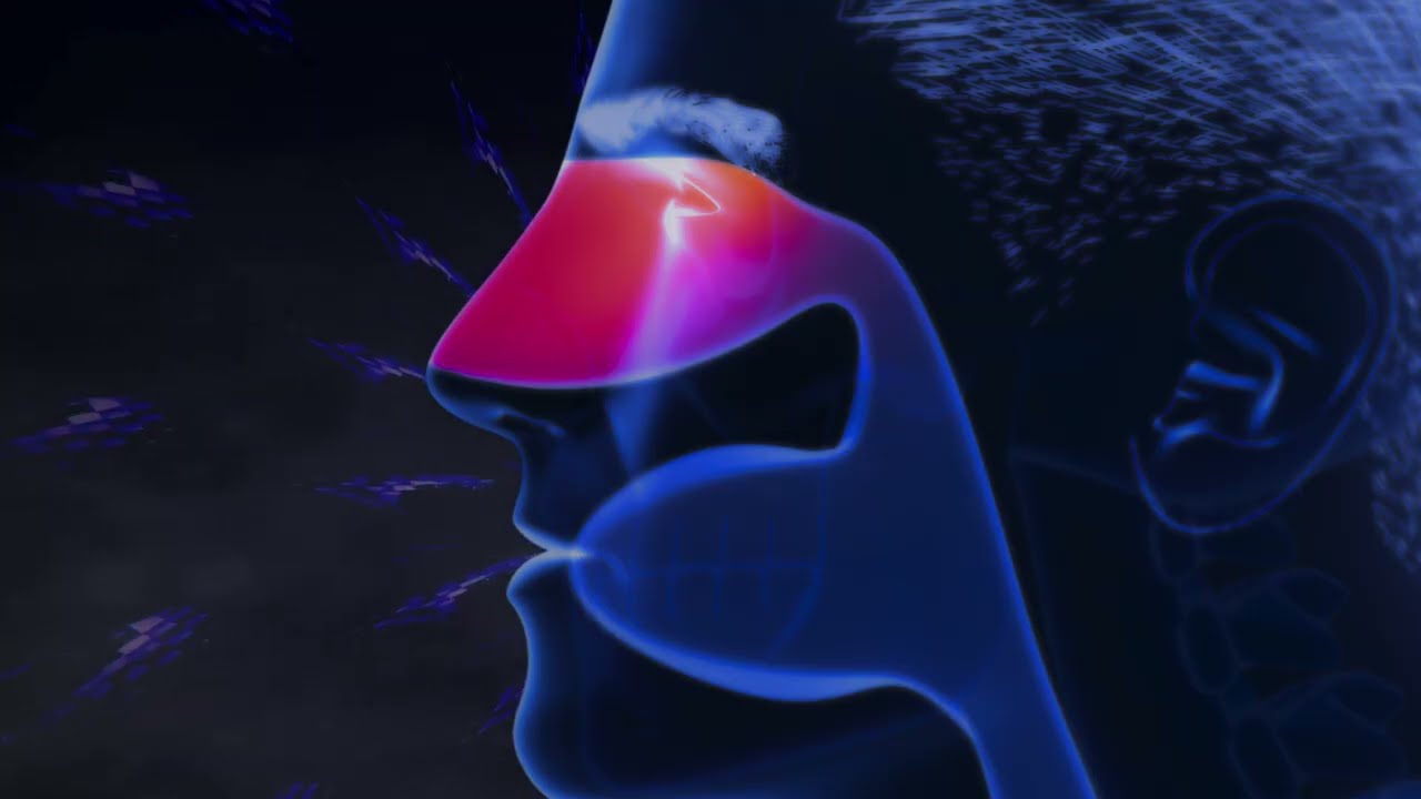 Watch Sinusitis Healing Frequency | Breathe Easy with Binaural Beats Sound Therapy | Sinusitis Relief on YouTube Watch Sinusitis Healing Frequency | Breathe Easy with Binaural Beats Sound Therapy | Sinusitis Relief on YouTube