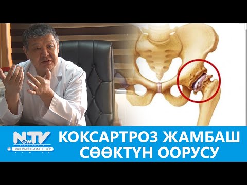 Video: Кайсы сөөктөр жамбаш белдерин түзөт?