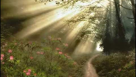 سوره البقره مده 15 دقيقه ماهر المعيقلي 