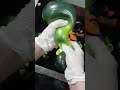 May be the last one or the 2nd last #satisfying #pop #asmr #balloon #relaxing #water #couple #relax