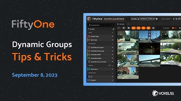 FiftyOne Computer Vision Tips and Tricks: Dynamic Groups