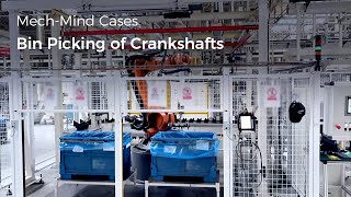 General-Purpose "Eye + Brain" for Robots: Bin Picking of Crankshafts