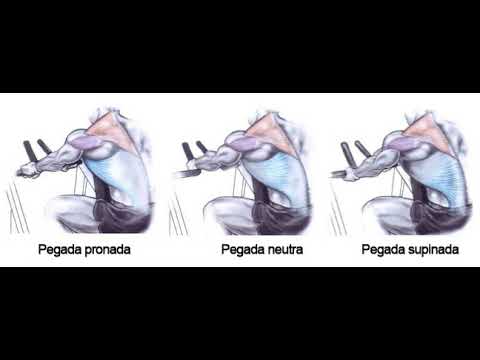 pé supinado e pronado