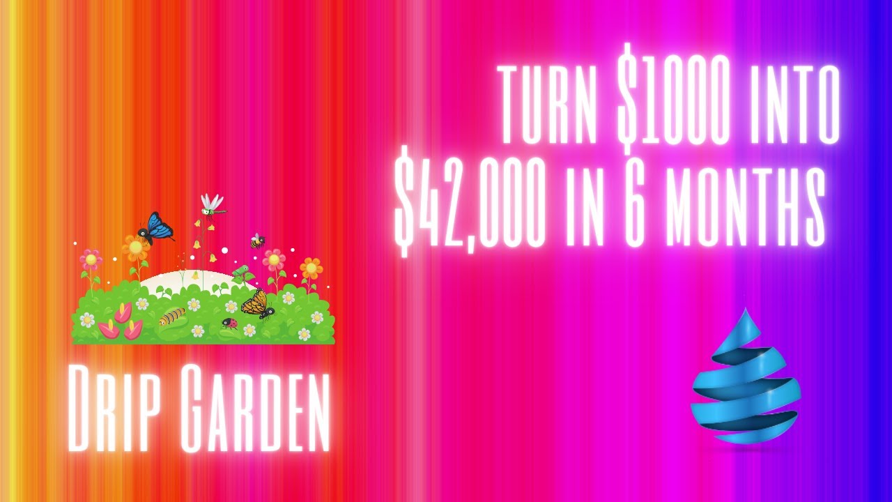 My Drip Garden Strategy 1000 42,00 in 6 months. YouTube