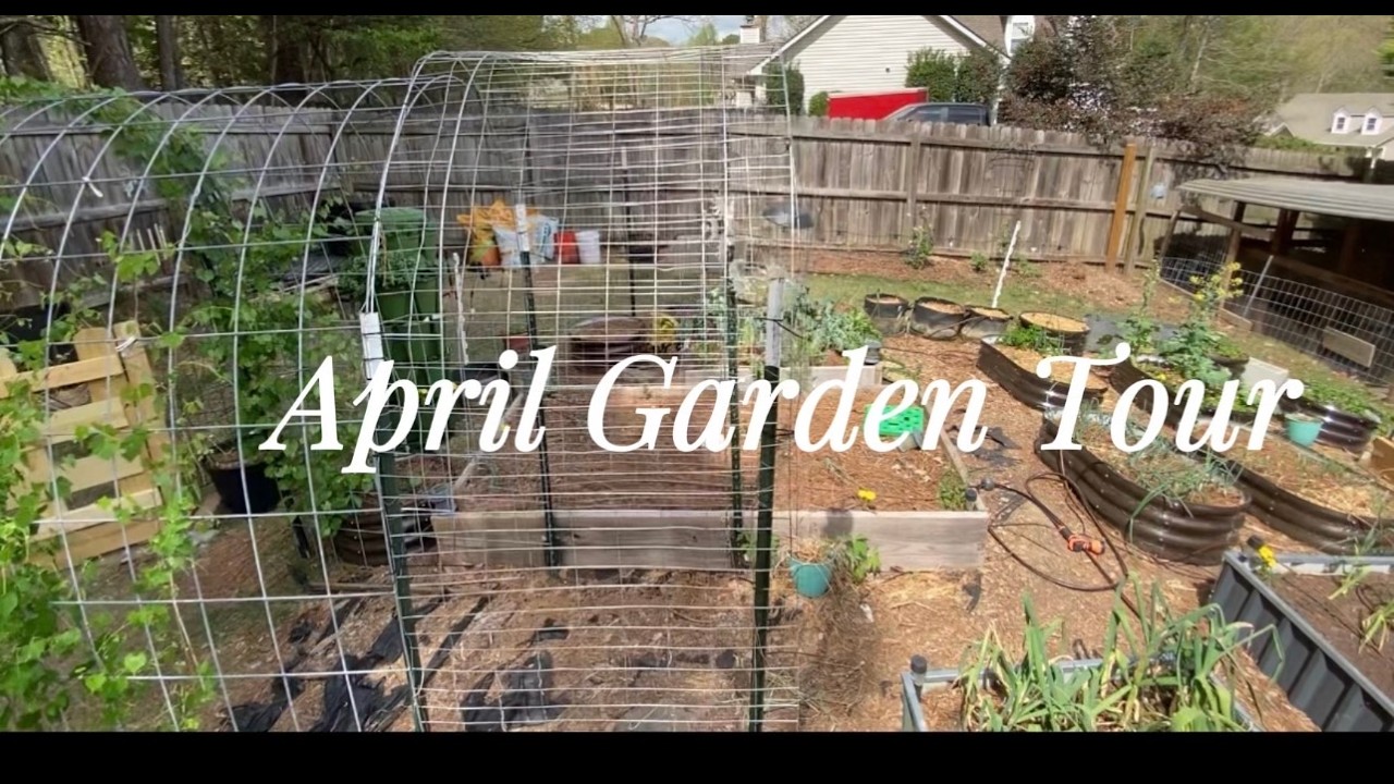 April Garden Tour 🌱 | What’s Growing Now - YouTube